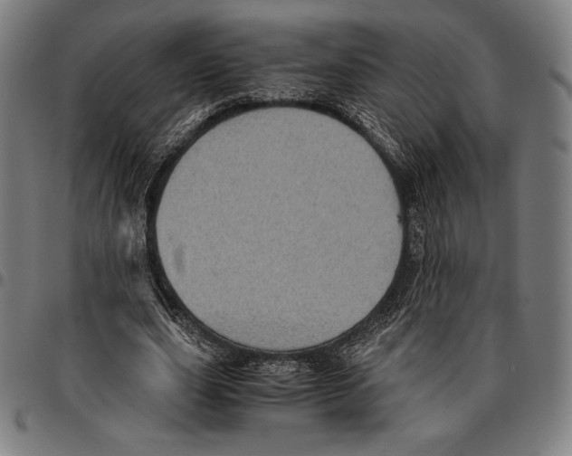 X0000095120631200801041224