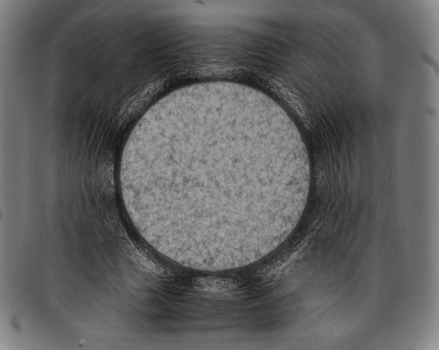 X0000095120633200801041224