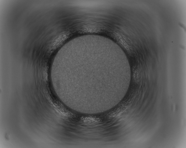 X0000095120635200801041224