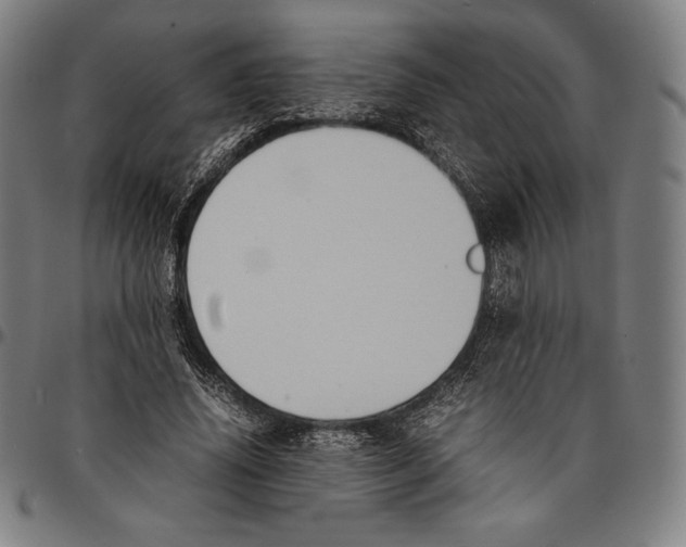 X0000095120636200801041224