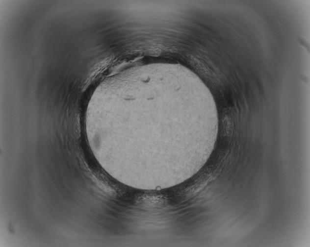 X0000095120638200801041224