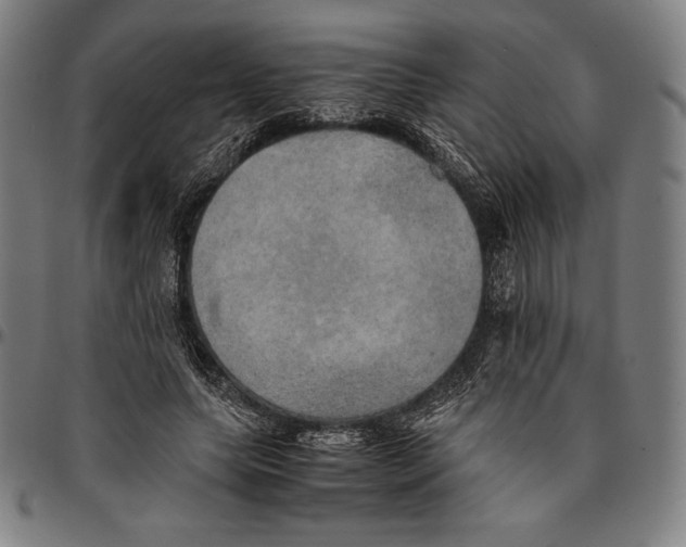 X0000095120639200801041224