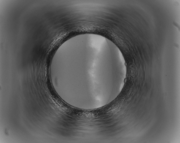 X0000095120640200801041224