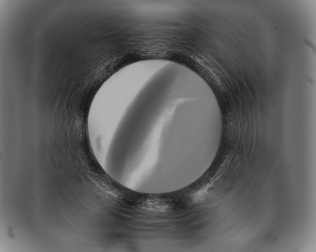 X0000095120641200801041224