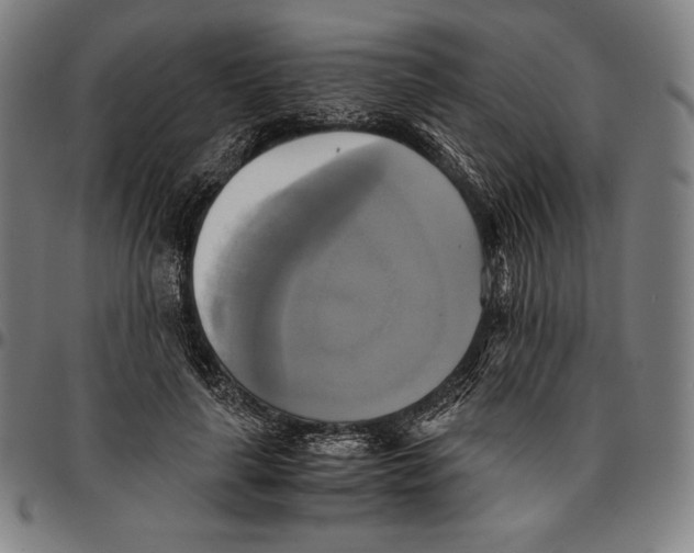 X0000095120643200801041224