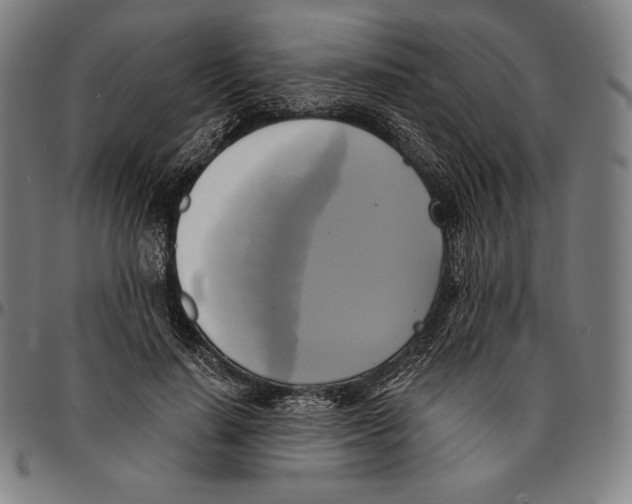 X0000095120644200801041224