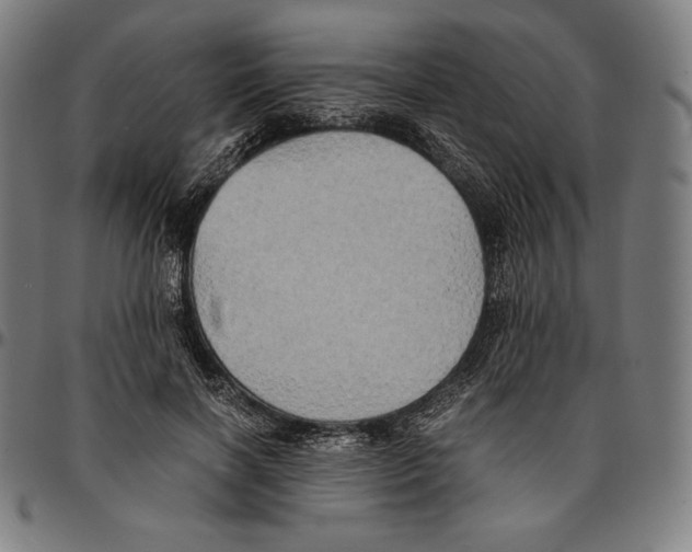 X0000095120646200801041224