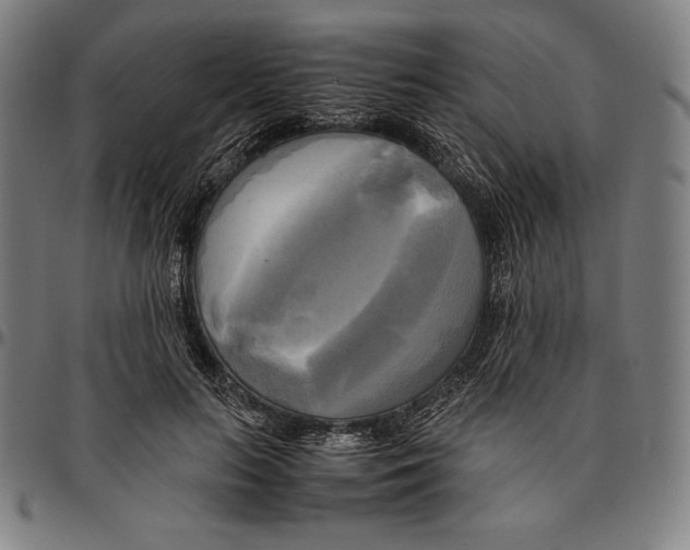 X0000095120647200801041224