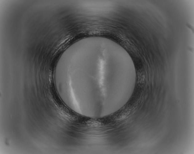 X0000095120648200801041224