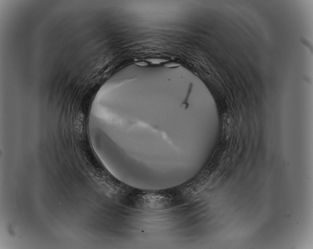 X0000095120650200801041224