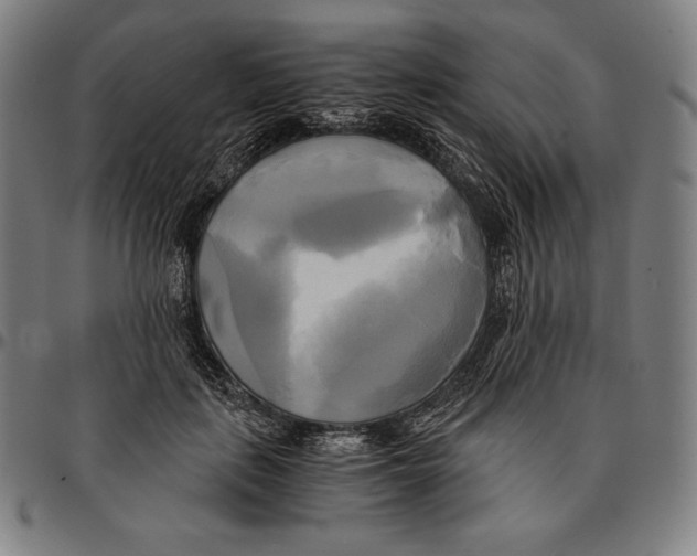 X0000095120651200801041224