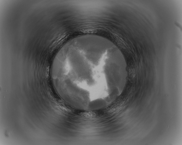 X0000095120652200801041224