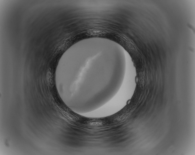 X0000095120653200801041224