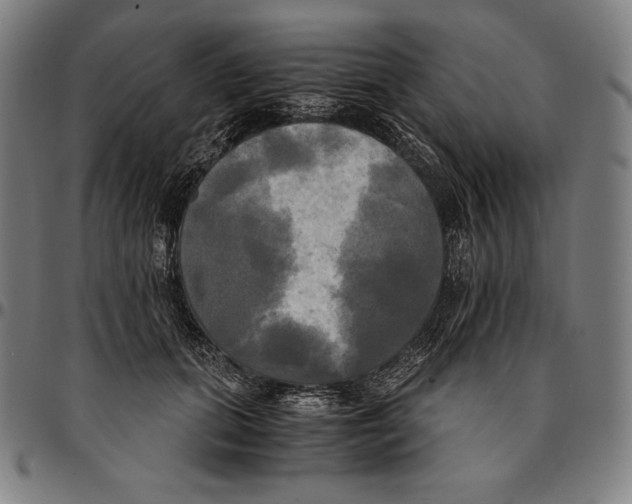 X0000095120655200801041224