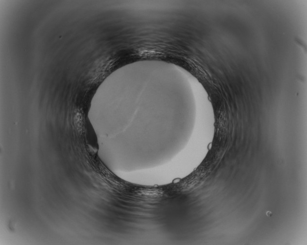 X0000095120659200801041224