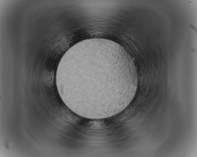 X0000095120660200801041224