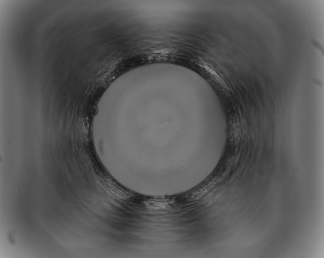 X0000095120661200801041224