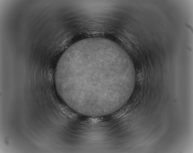 X0000095120662200801041224