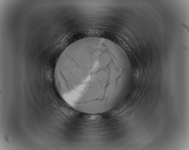 X0000095120663200801041224