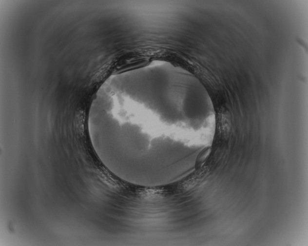 X0000095120664200801041224