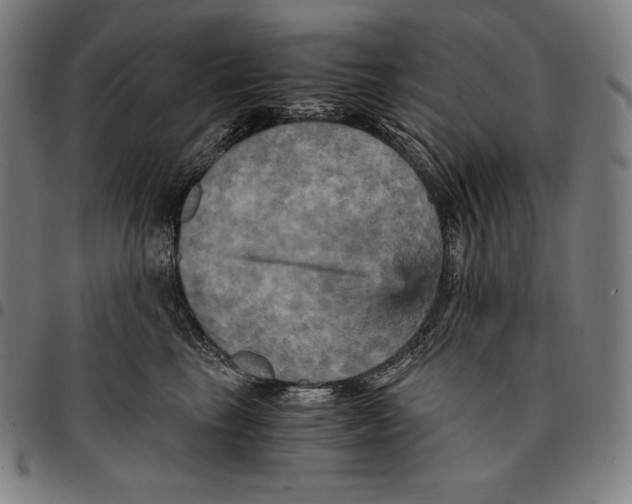 X0000095120665200801041224