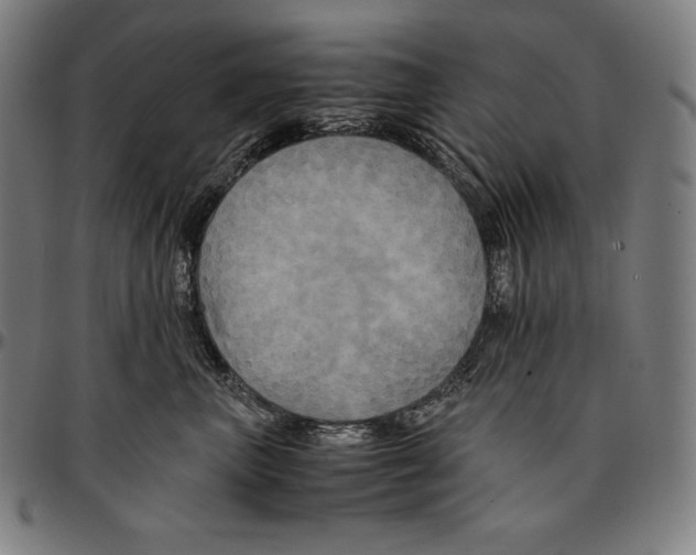 X0000095120667200801041224