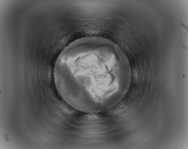 X0000095120668200801041224