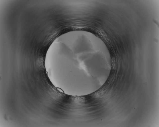 X0000095120670200801041224