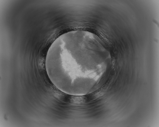 X0000095120671200801041224