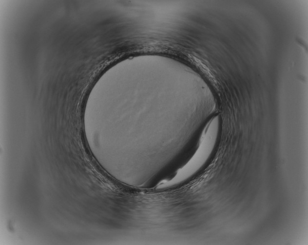 X0000095120673200801041224