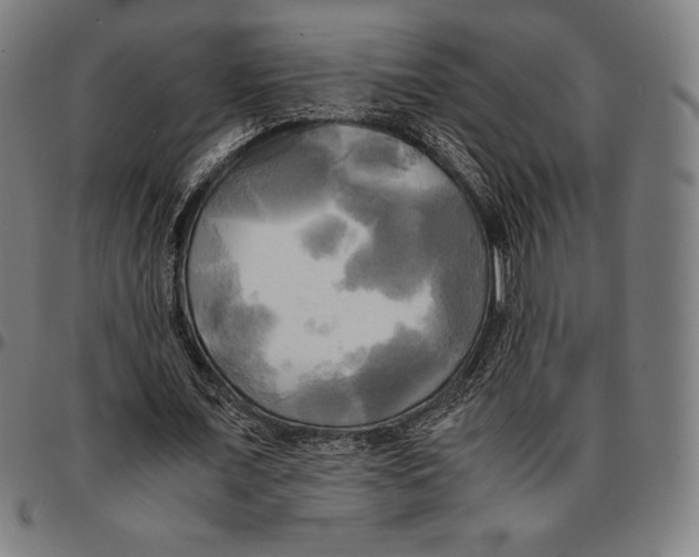 X0000095120675200801041224