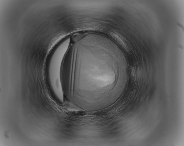 X0000095120676200801041224