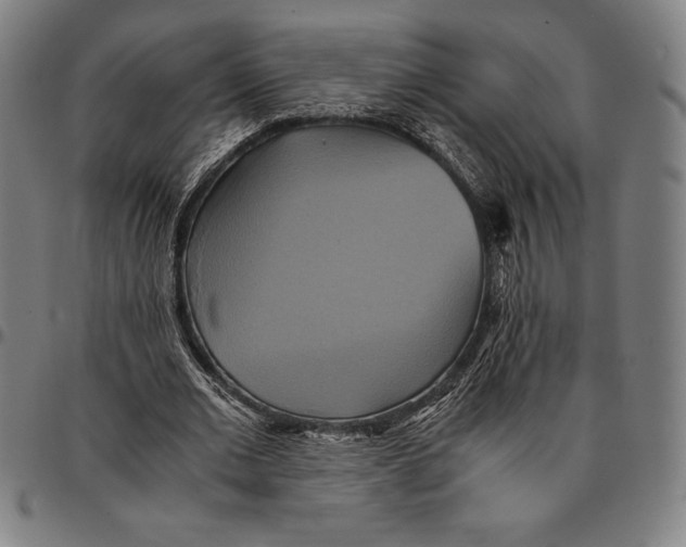 X0000095120677200801041224