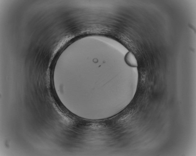 X0000095120678200801041224