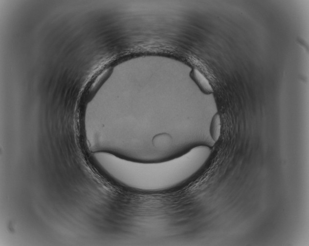 X0000095120680200801041224