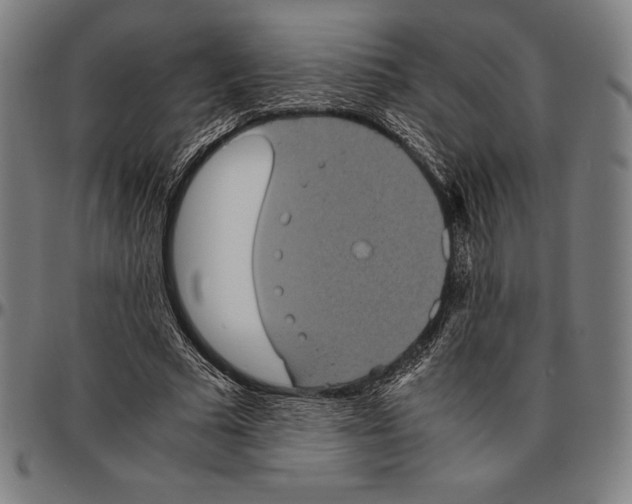 X0000095120681200801041224