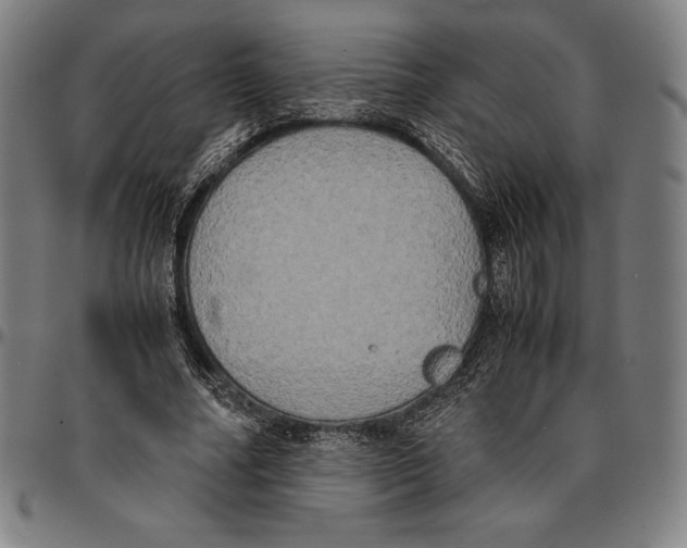 X0000095120682200801041224