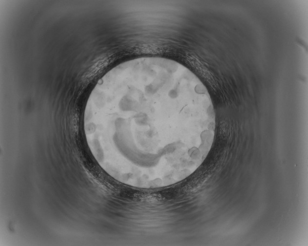 X0000095120683200801041224