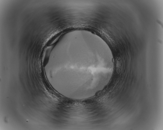 X0000095120684200801041224