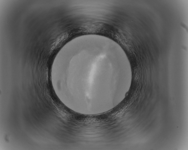 X0000095120685200801041224