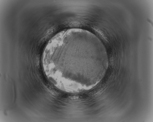 X0000095120687200801041223