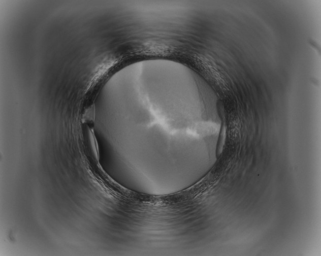 X0000095120688200801041223