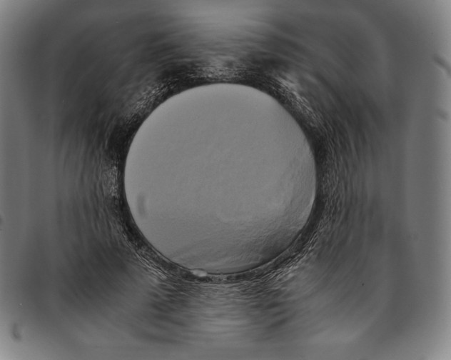 X0000095120689200801041223