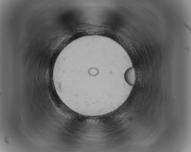 X0000095120690200801041223