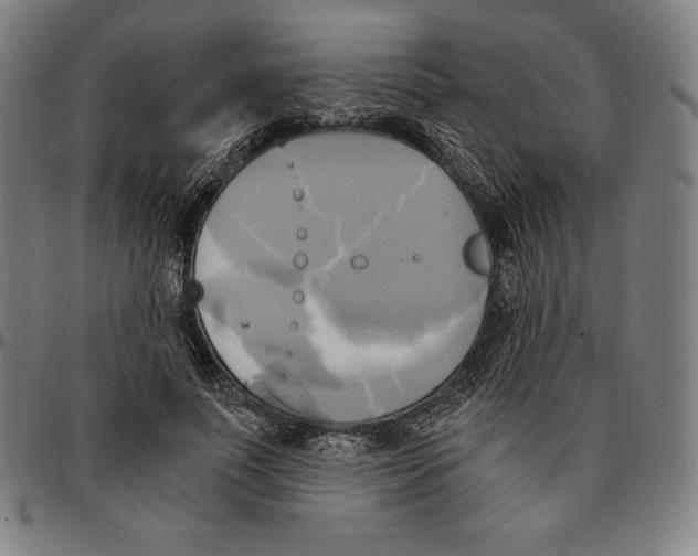 X0000095120691200801041223