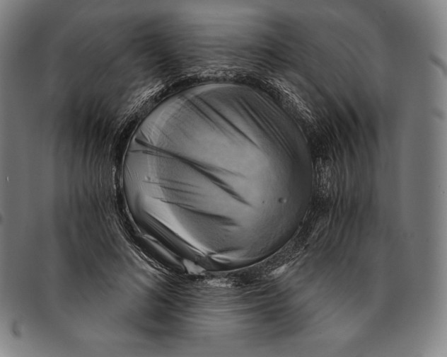 X0000095120692200801041223