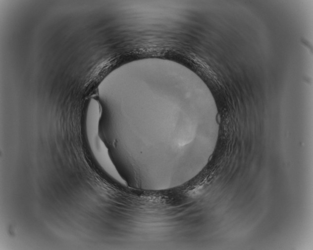 X0000095120693200801041223