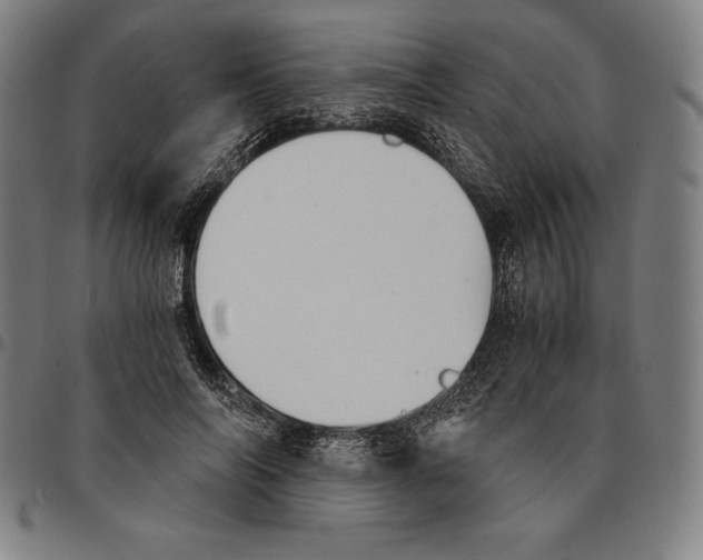 X0000095120694200801041223