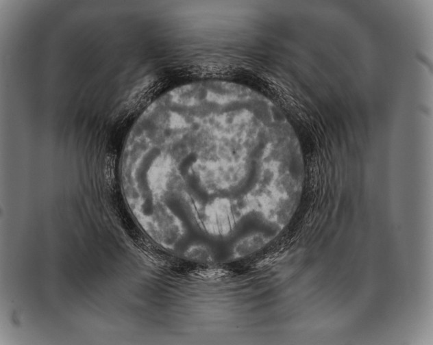 X0000095120695200801041223