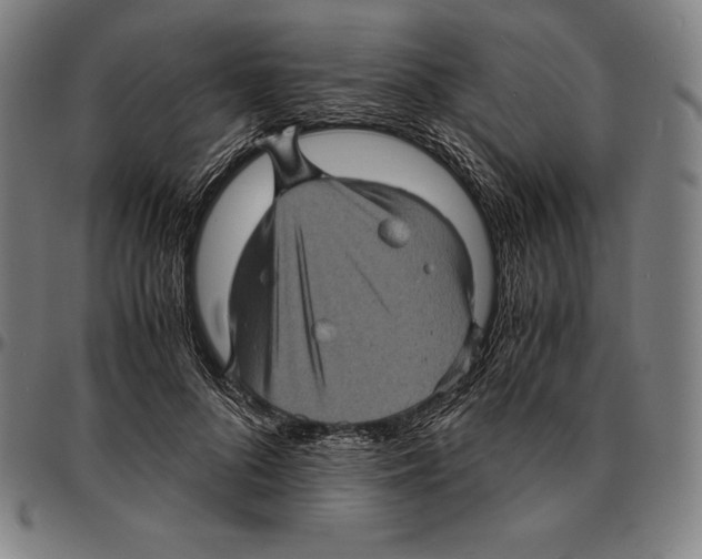 X0000095120696200801041223